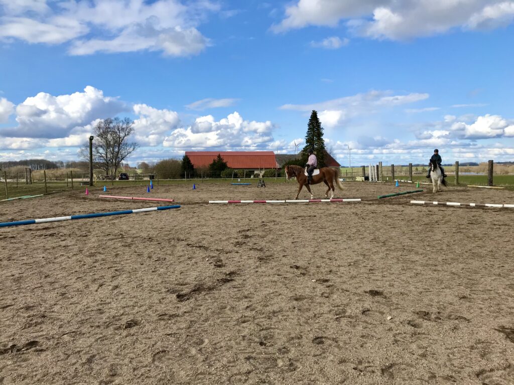 Träning med häst