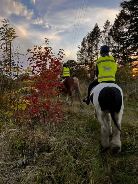 Uteritt höst